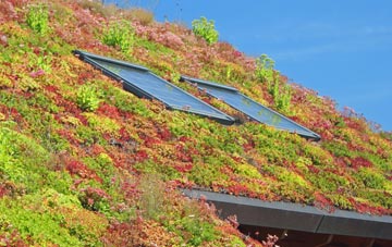 Beaworthy living roof systems
