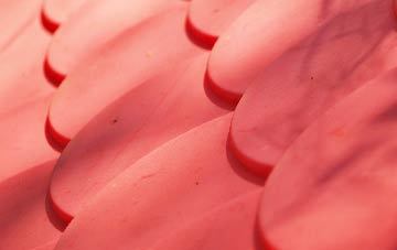 Beaworthy plastic roof costs